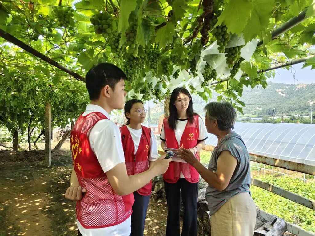 脚步向基层 青春常在乡——河北“三下乡”社会实践风采展示活动观察